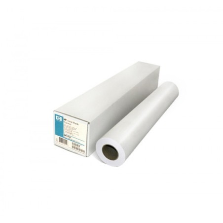 HP Professional Canvas Roll (E4J61B)